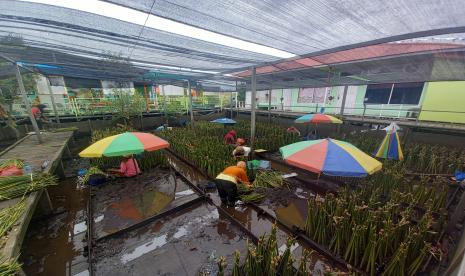 Pemberdayaan masyarakat dan pelestarian keanekaragaman hayati oleh Pertamina