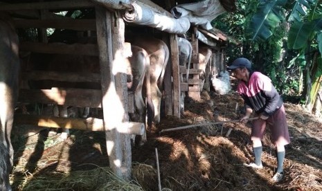 Pemberdayaan masyarakat desa dari hulu ke hilir.