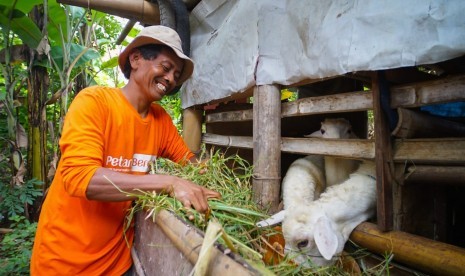 Pemberdayaan terintegrasi pertanian dan peternakan ala Rumah Zakat.