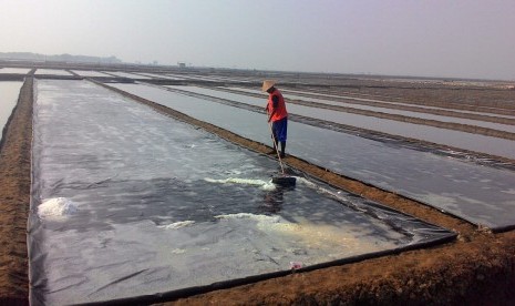 Pembudidaya di Desa Pasir Jaya, Kecamatan Cilamaya Kulon, Kabupaten Karawang, sedang memanen garam, Selasa (24/7). Saat ini, harga garam terasa manis, sebab mencapai Rp 1.500 per kilogram. 