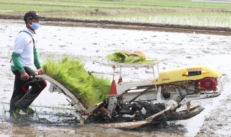 Pemerintah Indonesia berencana secara berangsur beralih ke kondisi normal baru (new normal) dalam menghadapi pandemi Covid-19. Kebijakan ini diharapkan menjadi pendongkrak kejayaan dan kesejahteraan petani kembali melalui dimulainya aktivitas hotel, restoran, katering (Horeka) dan perkantoran.