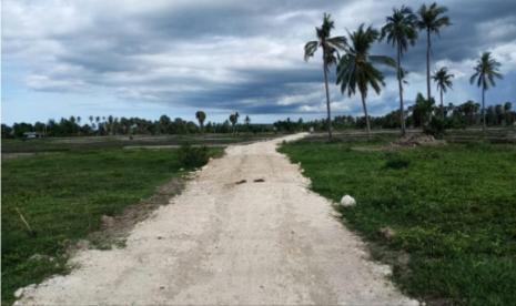 Pemerintah Kabupaten Sumba Timur memperoleh bantuan kegiatan Jalan Usaha Tani atau JUT (Konservasi dan Rehabilitasi Lahan Pertanian) dari Kementerian Pertanian (Kementan). Kegiatan JUT ini dilaksanakan di Kelurahan Mauhau, Kecamatan Kambera, Sumba Timur oleh Kelompok Tani Rowi No. Adapun volume pekerjaan yang dilaksanakan yakni panjang jalan 600 Meter, Lebar  3 meter dengan Tebal/tinggi 20 Cm.