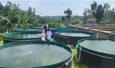 Pemerintah Provinsi Jawa Barat telah meluncurkan program petani milenial pada Maret 2021 lalu. Selain untuk regenerasi, langkah inipun dilakukan untuk meningkatkan produktivitas generasi muda dari sektor tersebut.