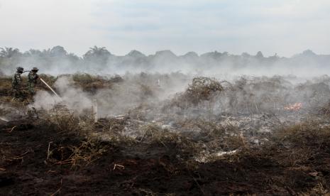 Pemerintah Provinsi Riau mengumumkan status siaga darurat kebakaran hutan dan lahan. Kepala pelaksana Badan Penanggulangan Bencana Daerah (BPBD) Riau M Edy Afrizal, mengatakan sudah aa 4 daerah di Riau yang menetapkan status siaga darurat kebakaran hutan dan lahan (Karhutla). Yakni Kota Pekanbaru, Kabupaten Bengkalis, Kabupaten Kepulauan Meranti dan Kabupaten Siak.