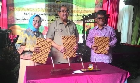 Pemkab Bandung Barat, Kanwil Bank Indonesia Jawa Barat, dan Universitas Padjadjaran meneken kerja sama dalam pengembangam klaster agribisnis sayuran di Desa Cikidang, Lembang, Bandung Barat, Selasa (20/10).