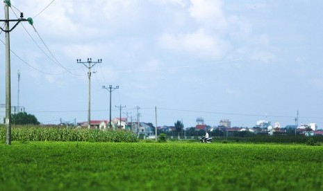 Pemotor melewati ladang kacang dan jagung di desa Dien Thinh, provinsi Nghe An, Vietnam, 28 Oktober 2019. Sebanyak 39 jasad warga Vietnam dari desa tersebut di truk berpendingin di Inggris.