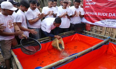 Pemuda Mahasiswa Nusantara (PMN) menggelar kegiatan pelatihan budi daya ikan lele, di Kampung Cipendeuy, Desa Tarajusari, Kabupaten Bandung, Jawa Barat. 