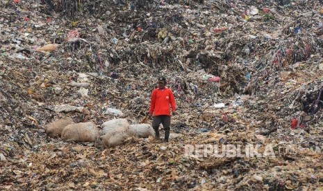 Pemulung mengais sampah di Tempat Pengolahan Sampah Terpadu (TPST) Bantar Gebang, Bekasi, Jawa Barat, Kamis (11/2).