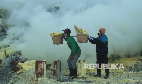 Penambang mengangkat bongkahan belerang hasil tambang di kawah Gunung Ijen, Banyuwangi, Jawa Timur, Kamis (7/11/2019).