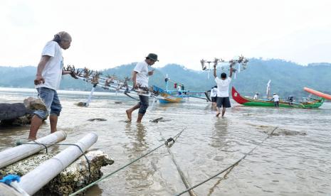 Upaya pelestarian terumbu karang Desa Kiluan Negeri, Kecamatan Kelumbayan, Kabupaten Tanggamus, Lampung. 