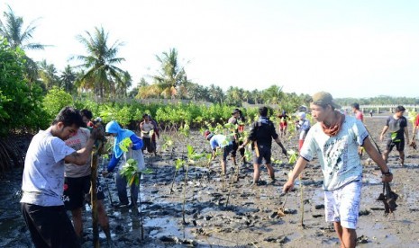 Penanaman Mangrove di Pangandaran 