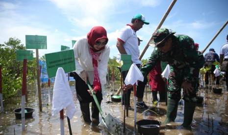 Penanaman mangrove oleh Shobibah Rohmah Nahrowi (Istri Menteri Pemuda dan Olahraga RI) bersama Ibu Trisna Willy Lukman Hakim (Istri Menteri Agama RI) di Pantai Pantai Cemara Kecamatan Lembar Kabupaten Lombok Barat, Senin (11/3).