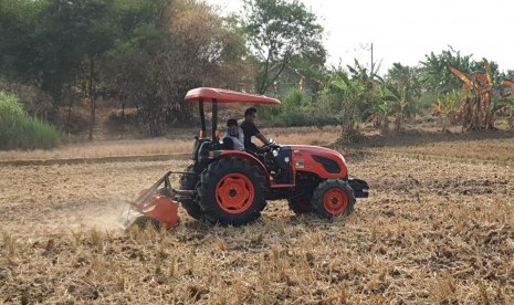 Penanaman padi gogo.