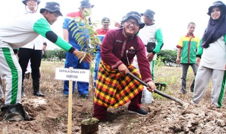 Penanaman perdana di lahan tidur Pertamina  yang dilangsungkan pada Jumat (14/12) di lahan pertanian samping Jalan Puteri Tujuh atau depan kilang Pertamina.