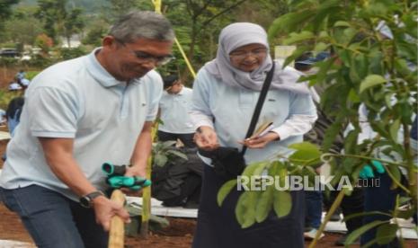 Penanaman pohon di kawasan Agrowisata Gunung Mas Bogor untuk mencegah banjir dan longsor