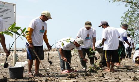 Penanaman pohon mangrove di Dusun Tengkolak Barat, Desa Sukakerta, Kecamatan Cilamaya Wetan, Kabupaten Karawang, Jawa Barat.