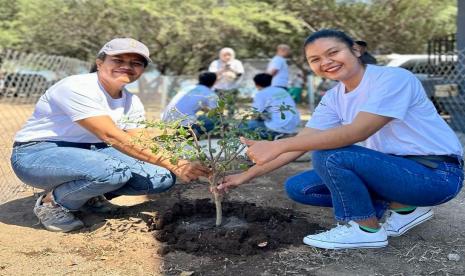 Penanaman pohon yang dilakukan oleh pegawai PLN di kawasan Ekowisata Pantai Oesina, Desa Lifuleo, (ilustrasi)