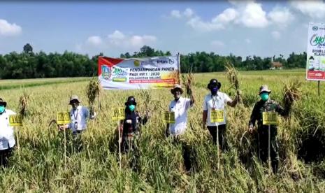 Pendampingan Panen Raya di Jatim yang dilakukan Kementan mendapat apresiasi Komisi IV DPR.