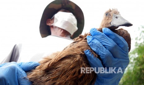 Penduduk memegang itik yang akan di vaksin flu burung oleh tim Dinas Pertanian Kabupaten Bandung, di Kampung Lebakwangi, Desa Sekarwangi, Kecamatan Soreang, Jumat (24/2).