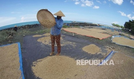 Penduduk memisahkan gabah hampa dan isi dengan menggunakan angin laut di pinggir Pantai Pamayangsari, Desa Sindangkerta, Kecamatan Cipatujah, Kabupaten Tasikmalaya. (Republika/Edi Yusuf)