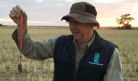 Peneliti CSIRO, Steve Henry, ingin agar para petani Tasmania ambil bagian dalam sensus tikus, pekan ini.