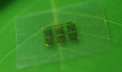 Peneliti membuat prototipe chip ramah lingkungan dari bahan dasar kayu.