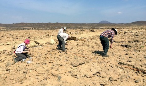 Peneliti temukan ribuan artefak berusia 1,76 tahun.