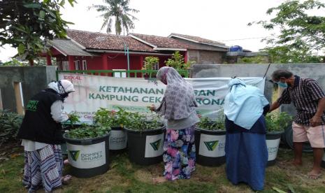 Penerapan Perilaku Hidup Bersih dan Sehat (PSBB) merupakan salah satu langkah pemerintah untuk memutus penyebaran virus Covid-19. Selama menjalankan aktivitas dari rumah Banyak cara yang dilakukan masyarakat untuk tetap produktif salah satunya berkebun sekaligus membudidayakan ikan lele 