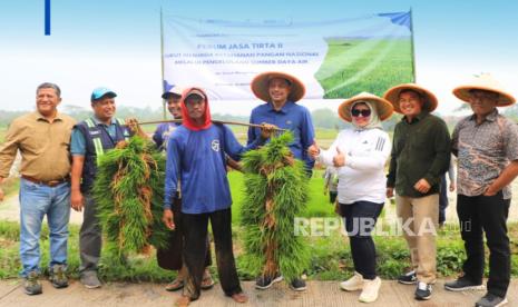 Pengairian irigasi di lahan petani di Subang untuk ketahnan pangan nasional