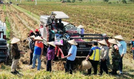 Pengembangan Demonstration Plot (Demplot) pada lokasi penyuluhan pertanian Pertanian Cerdas Iklim atau Climate Smart Agriculture (CSA)