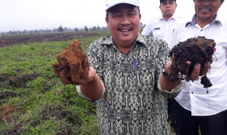 Pengembangan komoditas pertanian bawang putih di Kabupaten Humbang Hasundutan (Humbahas), Sumatra Utara