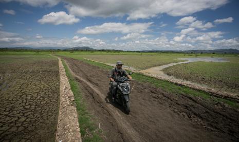 Pengendara sepeda motor melintasi jalan lama yang menghubungkan Kecamatan Eromoko dengan Baturetno di area Waduk Gajah Mungkur, Wonogiri, Jawa Tengah, Selasa (4/10/2022). Fenomena jalan lama yang hanya muncul saat debit air Waduk Gajah Mungkur menyusut akibat musim kemarau tersebut dimanfaatkan warga melintas untuk mempersingkat jarak dan waktu tempuh perjalanan. 