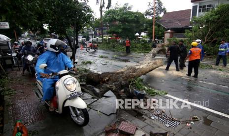 Pengendara sepeda motor melintasi trotoar saat petugas BPBD memotong pohon tumbang yang menutupi badan jalan  (ilustrasi) 