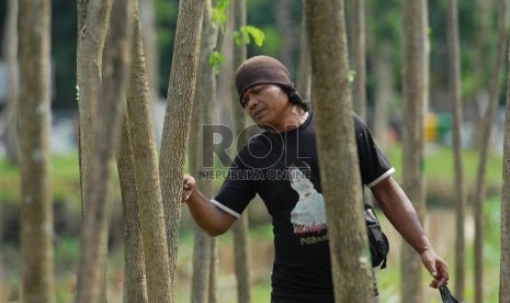 Penghijauan Kawasan Waduk Riario