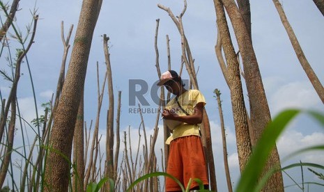 Penghijauan Kawasan Waduk Riario