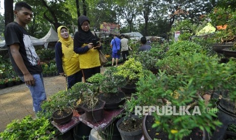 Pengujung melihat jenis tanaman bonsai di salah satu stan saat pembukaan Pameran Flora dan Fauna (Flona) 2017 di Lapangan Banteng, Jakarta, Jumat (21/7).