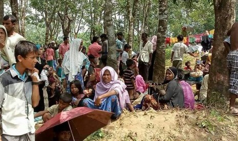 Pengungsi Muslim Rohingya.