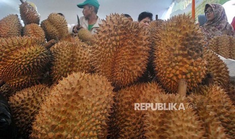 Festival Durian 