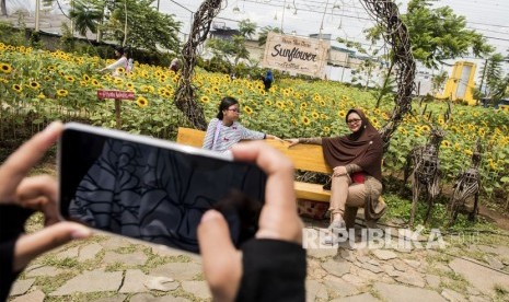 Pengunjung berfoto di area kebun bunga matahari di Bandung, Jawa Barat, Jumat (29/12). 