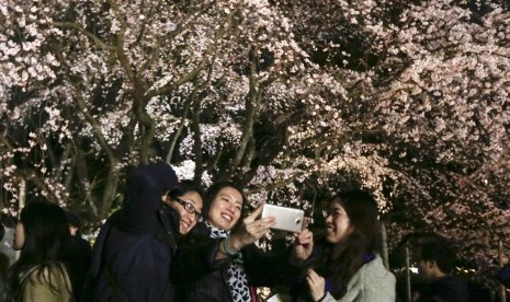 Bunga Sakura Bisa Deteksi Perubahan Iklim Republika Online