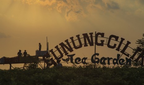 Pengunjung berwisata di obyek wisata Gunung Cilik Tea Garden di kawasan Kebun Teh Kemuning, Ngargoyoso, Kabupaten Karanganyar, Jawa Tengah, Sabtu (30/6). Kemenparekraf Dukung Festival Kreatif Lokal Kembangkan Desa Wisata