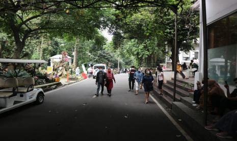 Pengunjung di Kebun Raya Bogor. Kebun Raya Bogor melakukan mitigasi terhadap pohon-pohon selama cuaca ekstrem ini.