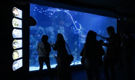 Pengunjung melihat koleksi hewan laut di Jakarta Aquarium.