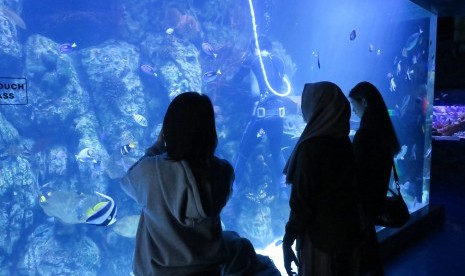 Pengunjung melihat koleksi hewan laut di Jakarta Aquarium. 