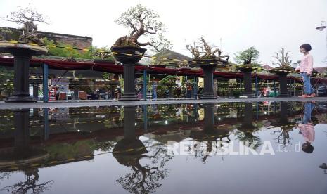 Pengunjung melihat-lihat aneka tanaman bonsai dalam lomba dan pameran bonsai di GOR Lembupeteng, Tulungagung, Jawa Timur, Selasa (14/12/2021). Sebanyak 229 tanaman bonsai dipamerkan dalam kegiatan tersebut. 