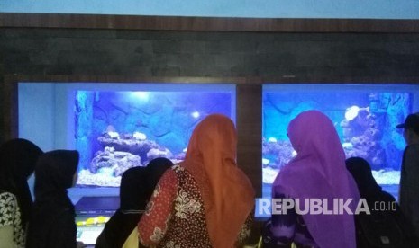 Pengunjung melihat-lihat fauna air laut dan air tawar di Gedung Akuarium Kebun Binatang Surabaya (KBS), Kamis (6/4).