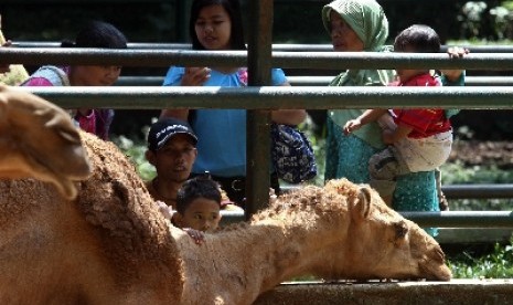 Pengunjung memadati Kebun Binatang Bandung, Jalan Taman Sari Bandung, Jawa Barat,