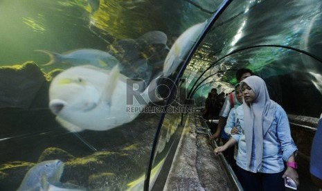   Pengunjung memadati wahana Seaworld, Ancol, Jakarta Utara, Senin (18/7).      (Republika/Rakhmawaty La'lang)