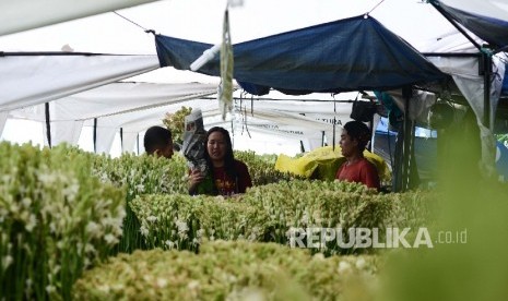 Pengunjung membeli bunga jenis sedap malam di bazar bunga Rawa Belong, Jakarta Barat.