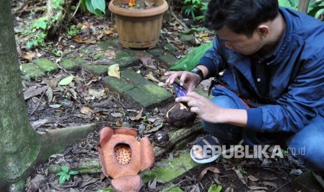 Kebun Raya Bogor menjadi salah satu yang akan ditutup LIPI (Foto: Kebun Raya Bogor)